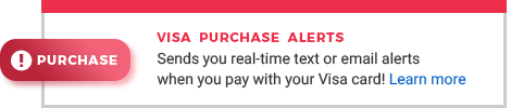 visa purchase alerts